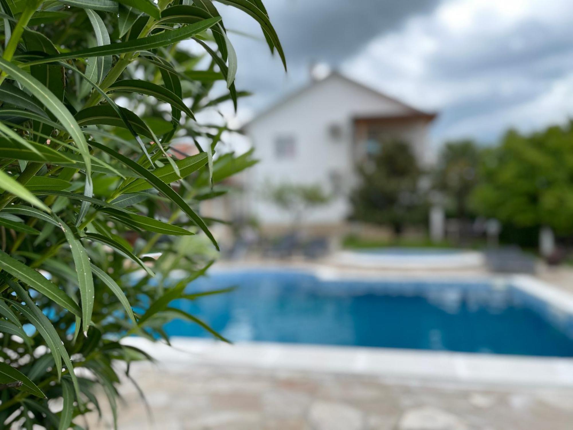 Sunny Apartment With Swimming Pool Stolac Eksteriør bilde